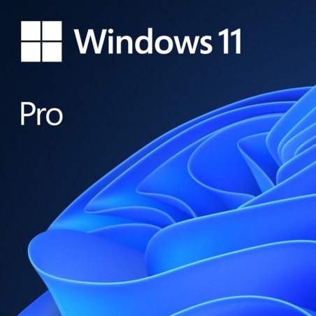 Microsoft Windows 11 Pro 64-bit SK OEM USB